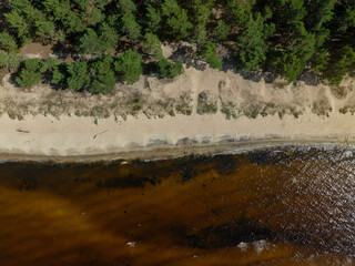 Aerial top-down view of calm and wild Turisalu beach (Estonian - Türisalu rand) on a sunny summer evening. Calm and brown waters of Baltic sea. 