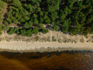 Aerial top-down view of calm and wild Turisalu beach (Estonian - Türisalu rand) on a sunny summer evening. Calm and brown waters of Baltic sea. 