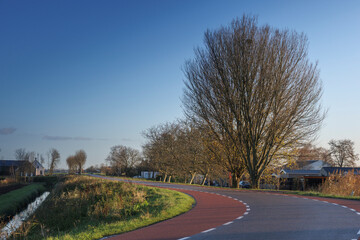 Curved road surrounded by trees and houses under a clear blue sky during late afternoon