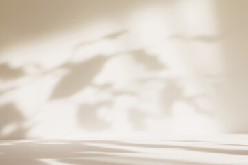 Abstract beige color gradient studio background for product presentation. Empty room with shadows of window and flowers and plant leaves . 3d ivory room with copy space. Blurred backdrop.