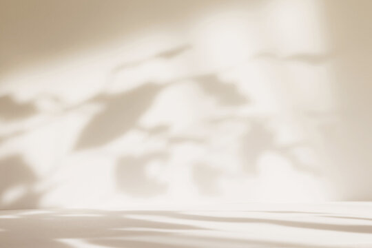Abstract beige color gradient studio background for product presentation. Empty room with shadows of window and flowers and plant leaves . 3d ivory room with copy space. Blurred backdrop.