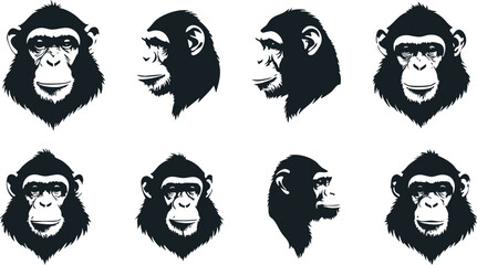 Chimpanzee Vector Art Collection