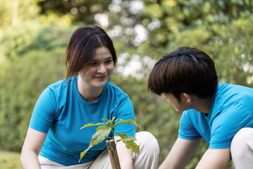 Young Volunteers Planting Trees Together in a Park for Environmental Conservation and Community Service