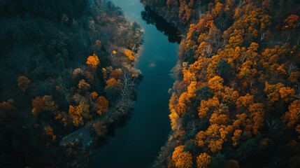 Obraz premium Autumn river meandering through vibrant forest in tranquil landscape captured from above during golden hour