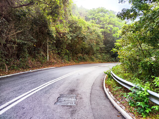 Serene winding road through lush green forest on a foggy morning in the countryside