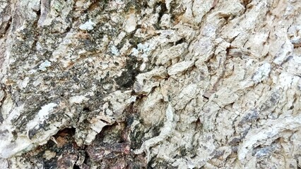 texture