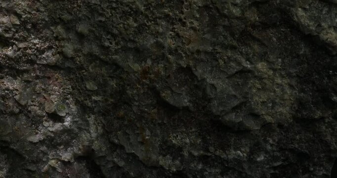 Dark weathered rock with intricate surface details