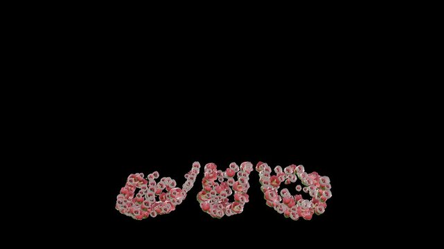 Ukrainian font with malva flowers on transparent background, part 2 letters ЖжЗзИиІіЇїЙйКкЛл0