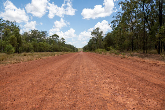outback red dirt track road through Australian bush countryside, rural remote distance travel journey destination, tree forest gum eucalyptus, escape change leave