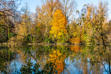 Fall foliage colors along the Garonne River near Toulouse in Occitanie, France.