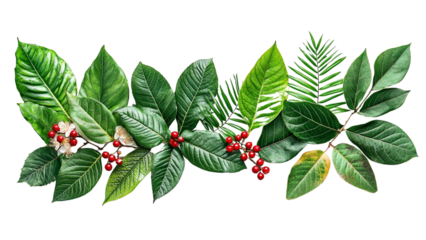 vibrant arrangement of green leaves and red berries