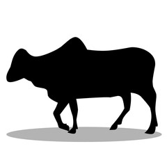 Cow silhouette illustration on white background. cow silhouette vector