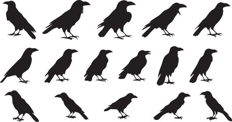 Crow Head Vector Art