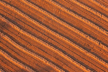 Rows of stubble residues in the field after harvest. Aerial shot