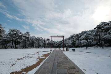 대한민국 전통의 건축물 한옥과 눈 쌓인 소나무에 상고대 함박눈이 어우러진 푸른 하늘의 하얀 겨울의 설경