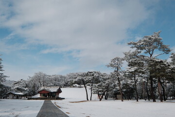 대한민국 전통의 건축물 한옥과 눈 쌓인 소나무에 상고대 함박눈이 어우러진 푸른 하늘의 하얀 겨울의 설경