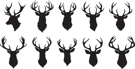 Deer Antlers Vector Art