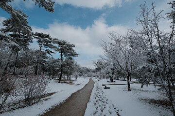 대한민국 전통의 건축물 한옥과 눈 쌓인 소나무에 상고대 함박눈이 어우러진 푸른 하늘의 하얀 겨울의 설경