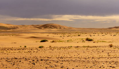 View of the Magnificent Landscape of the Sahara Desert in Morocco