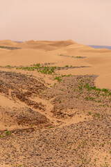 View of the Magnificent Landscape of the Sahara Desert in Morocco