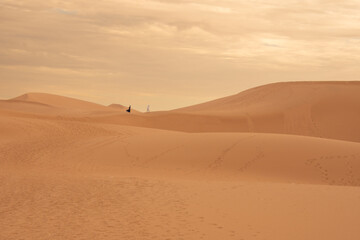 View of the Magnificent Landscape of the Sahara Desert in Morocco
