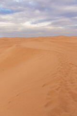View of the Magnificent Landscape of the Sahara Desert in Morocco