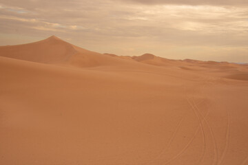 View of the Magnificent Landscape of the Sahara Desert in Morocco