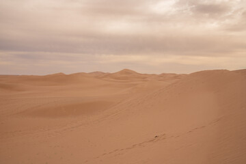 View of the Magnificent Landscape of the Sahara Desert in Morocco