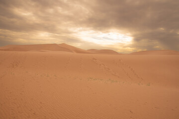 View of the Magnificent Landscape of the Sahara Desert in Morocco