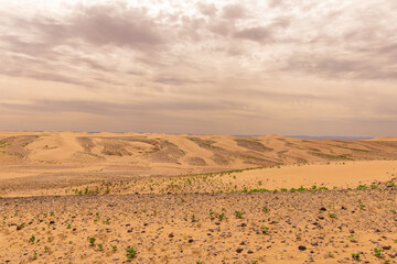 View of the Magnificent Landscape of the Sahara Desert in Morocco
