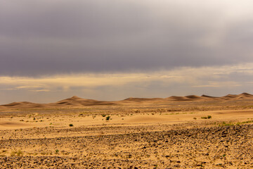 View of the Magnificent Landscape of the Sahara Desert in Morocco