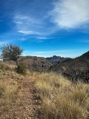 A grassy section of trail on a hot day (Big Bend National Park, Texas, USA)