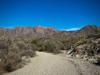 Hiking in the arid West Texas mountains (Big Bend National Park, Texas, USA)