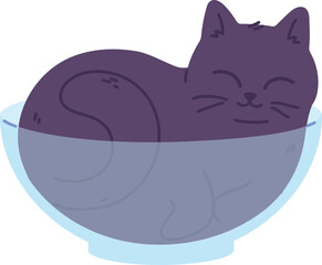 Cat sleeping in glass bowl. Comfortable cozy animal