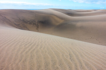 De zandduinen van Maspalomas op Gran Canaria. De wind zorgt voor verstuiving en vormen in het zand.