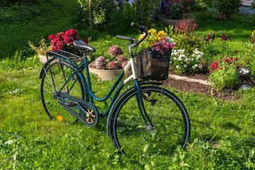 Fototapeta premium Bicycle decorated with flowers in front yard of residential building. A i Lofoten in Lofoten district of Norway