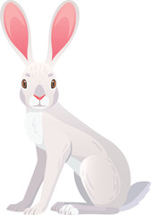 Funny white jackrabbit with long ears. Wild rabbit