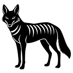 Jackal vector artwork showcasing a carnivorous wild animal in a detailed and artistic style, perfect for digital projects, illustrations, and wildlife-themed designs.