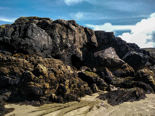 Sea mussels on a rock cliff on the coast