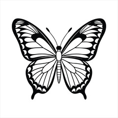 Butterfly outline with white background