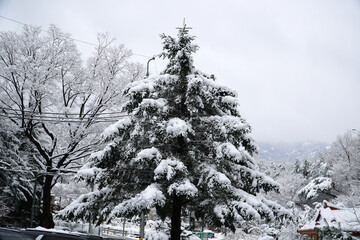 Mount Bukhan in the First Snow