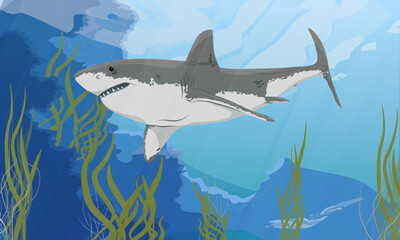 Great white shark swims over long seaweed. Realistic vector landscape