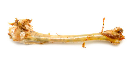 A bone is shown on a white background