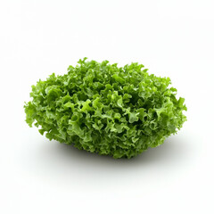 Obraz premium Fresh green lettuce isolated on white background, showcasing its vibrant color and crisp texture. Perfect for salads and healthy meals