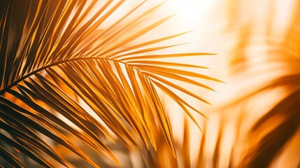 Detailed view of palm leaf veins and edges in sunlight