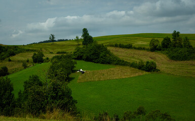 Obraz premium A flying stork against the background of the Bieszczady mountains