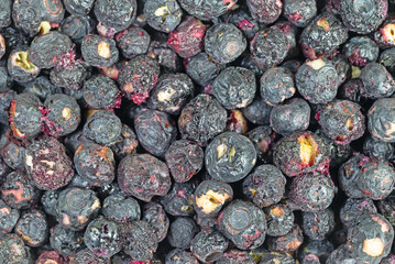 Getrocknete Heidelbeeren in einer Nahaufnahme