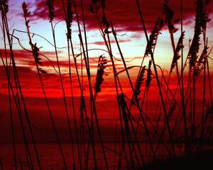 Fototapeta premium Sunrise in Florida, Sunset in Florida, Beaches, Sand, Water, Sub, Relaxation