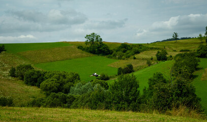 Obraz premium Polish fields and mountains in the Bieszczady Mountains