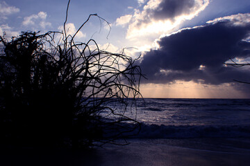 Florida Sunset Collection